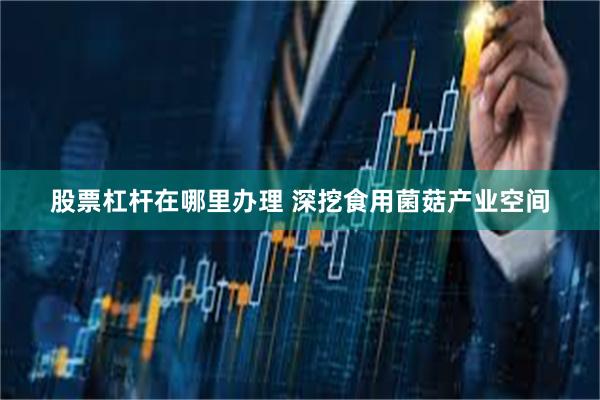 股票杠杆在哪里办理 深挖食用菌菇产业空间