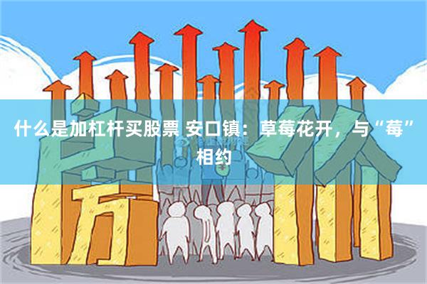 什么是加杠杆买股票 安口镇：草莓花开，与“莓”相约