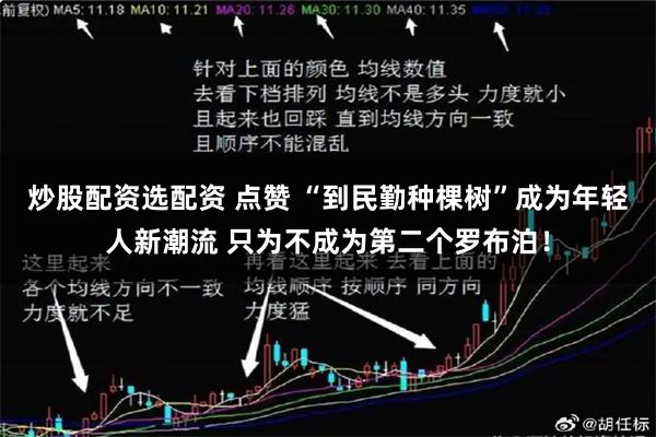 炒股配资选配资 点赞 “到民勤种棵树”成为年轻人新潮流 只为不成为第二个罗布泊！