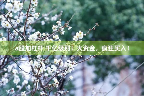 a股加杠杆 千亿级别！大资金，疯狂买入！
