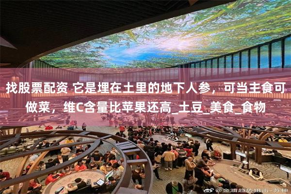 找股票配资 它是埋在土里的地下人参，可当主食可做菜，维C含量比苹果还高_土豆_美食_食物