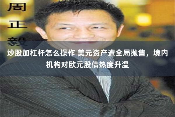 炒股加杠杆怎么操作 美元资产遭全局抛售，境内机构对欧元股债热度升温
