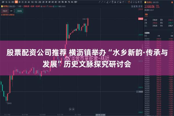 股票配资公司推荐 横沥镇举办“水乡新韵·传承与发展”历史文脉探究研讨会