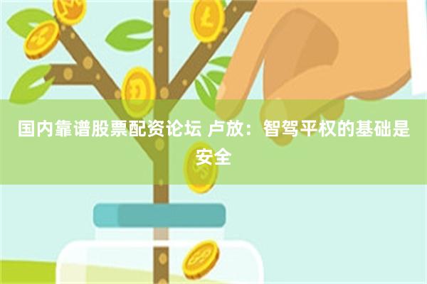 国内靠谱股票配资论坛 卢放：智驾平权的基础是安全