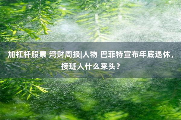 加杠杆股票 湾财周报|人物 巴菲特宣布年底退休，接班人什么来头？