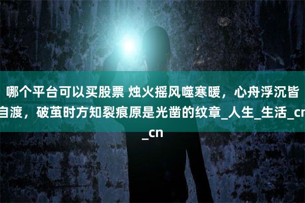 哪个平台可以买股票 烛火摇风噬寒暖，心舟浮沉皆自渡，破茧时方知裂痕原是光凿的纹章_人生_生活_cn