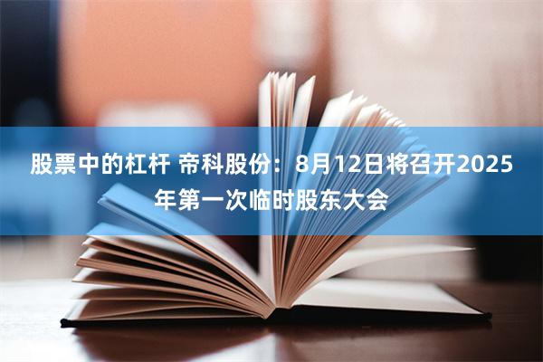 股票中的杠杆 帝科股份：8月12日将召开2025年第一次临时股东大会
