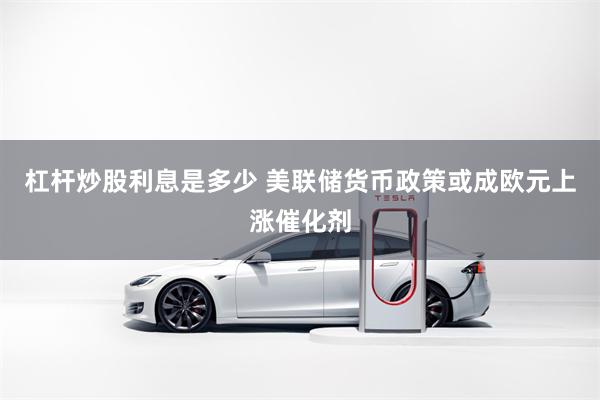 杠杆炒股利息是多少 美联储货币政策或成欧元上涨催化剂